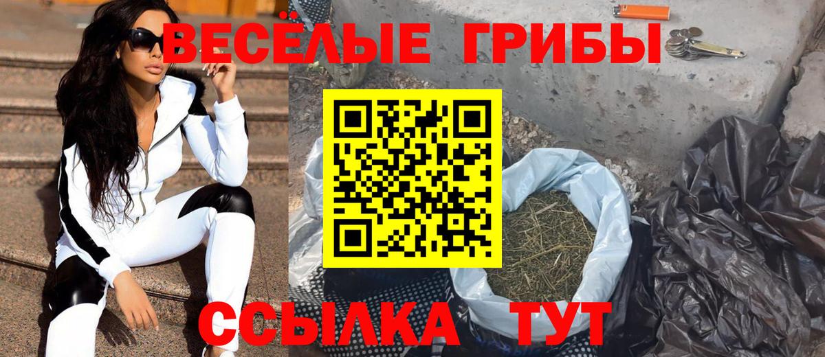 Вичуга  Псилоцибиновые грибы Psilocybe  Вход с VPN 